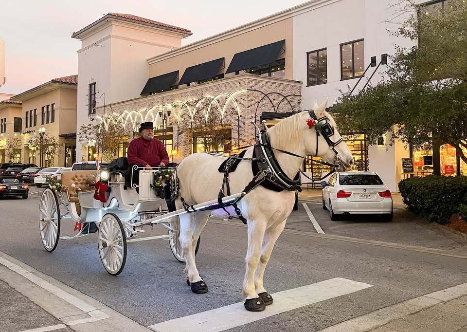 Carriage Rides and Festival of Trees